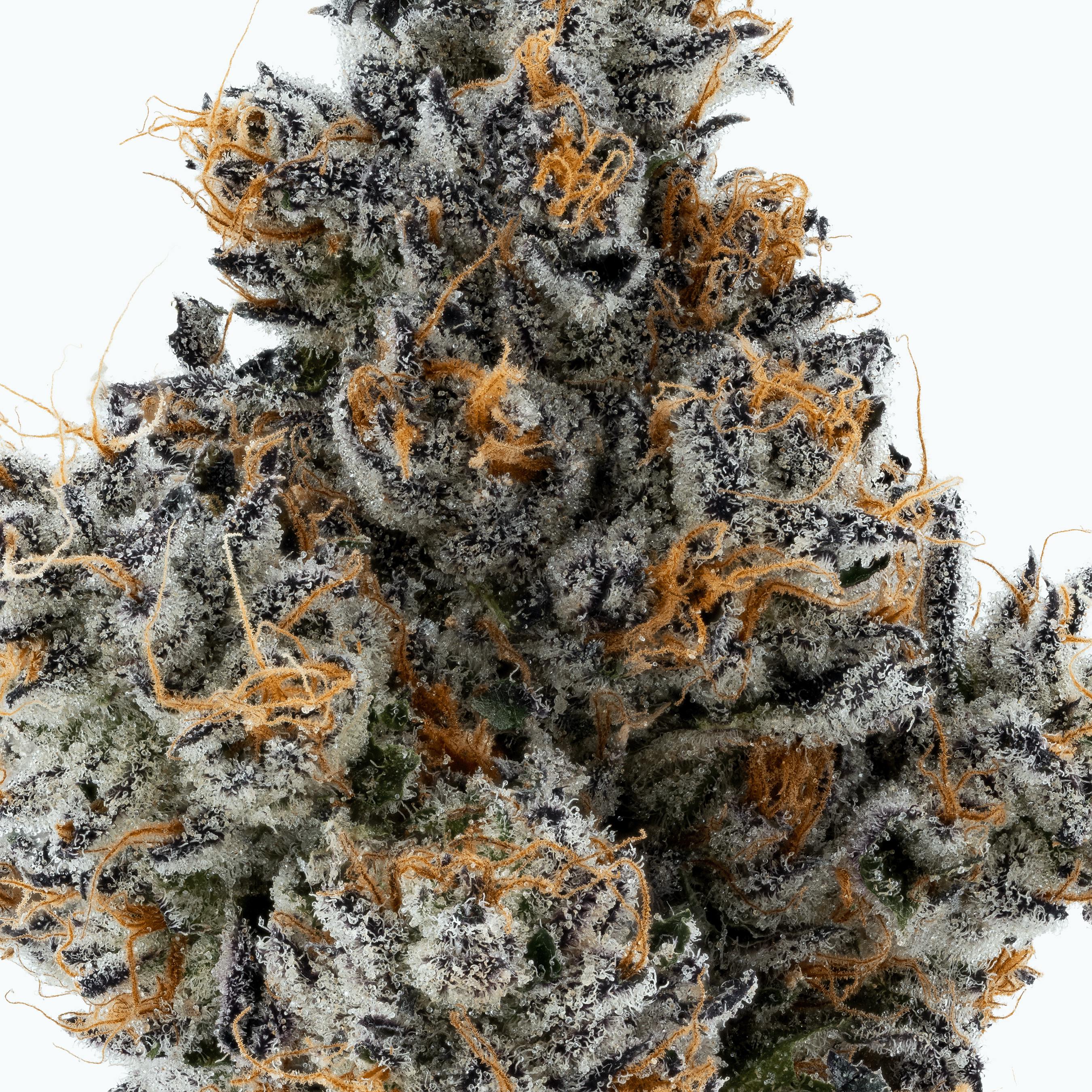 Lumpy's Flowers - Lumpy's Flowers | PB & Jane | 1g Pre-Roll - 1