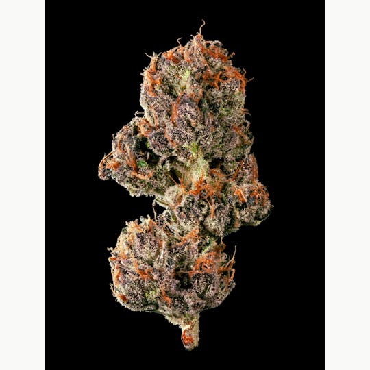 Garden First Cannabis - Cake Bomb by Garden First - 1