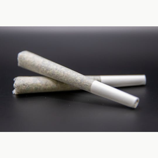 Mockingbird - Mockingbird Pre-Rolls: Dragon Fruit Juice 2-pack, .5g ea. - 1