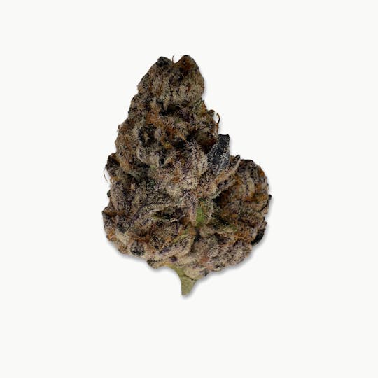 Indico - Rampage - Pine Tree Apothecary - 1