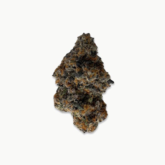 Indico - Rager - New Horizons - 1