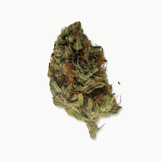 Indico - Death Coast - Pine Tree Apothecary - 1