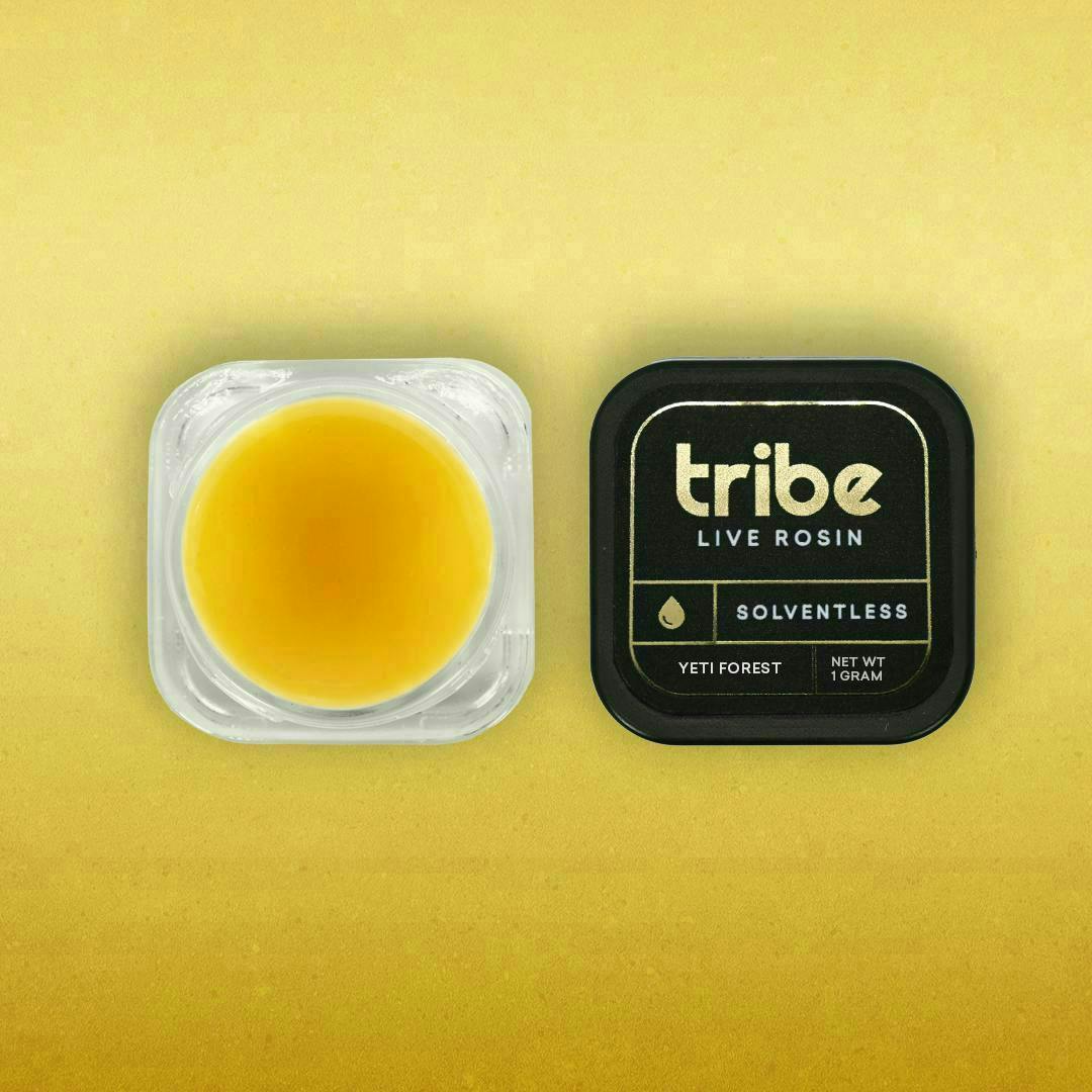 Tribe - Tribe | Yeti Forest | Live Hash Rosin Jam | 1g - 1