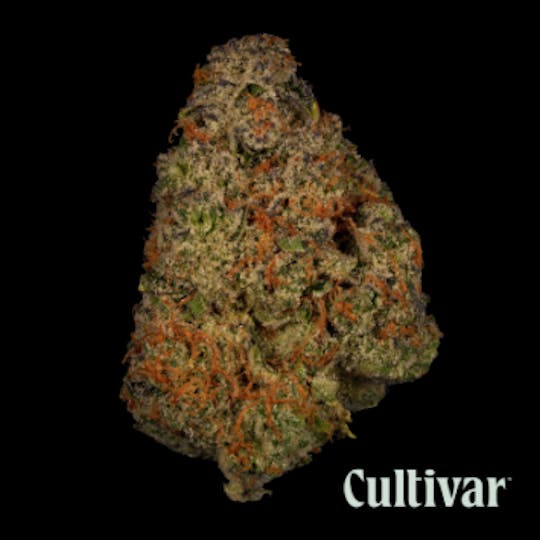 Cultivar Collection - The Beaves - 3.5g Premium Flower - 1