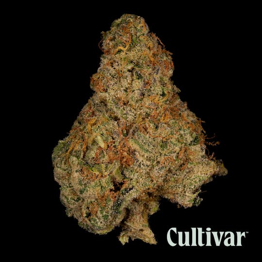 Cultivar Collection - Banana OG - 3.5g Premium Flower - 1