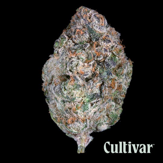Cultivar Collection - Zealousy - 3.5g Premium Flower - 1