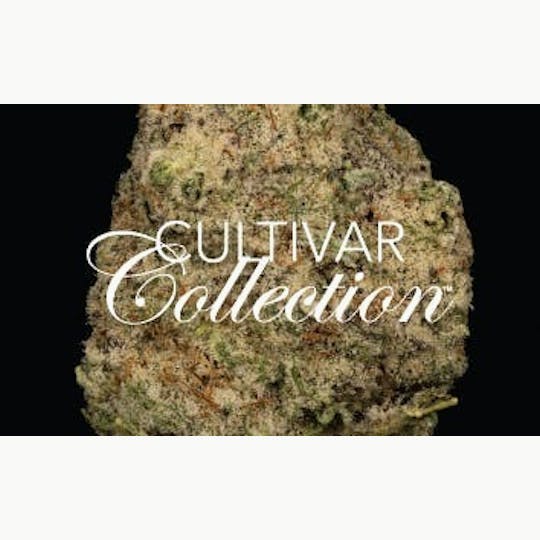 Cultivar Collection - Grape Cake - 3.5g Premium Flower - 1