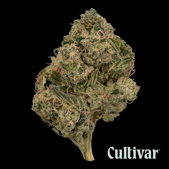 Cultivar Collection - Rae Bae - 3.5g Premium Flower - 1