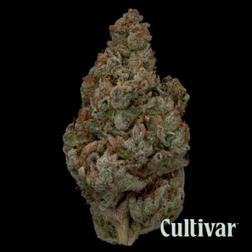 Cultivar Collection - Cultivar | Pure Cake Breath x Animal Cookies - 3.5g Premium Flower - 1