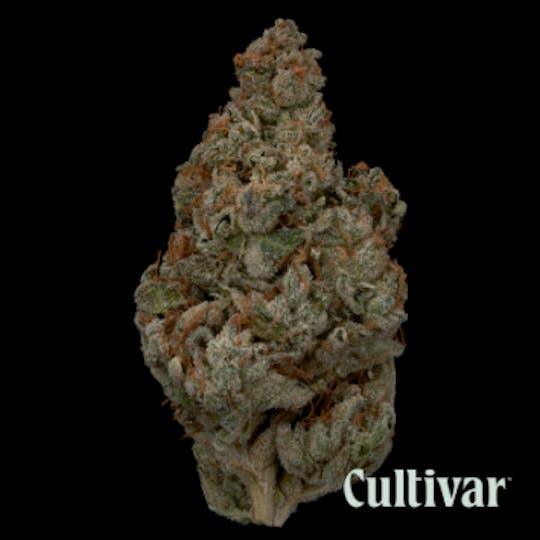 Cultivar Collection - Pure Cake Breath x Animal Cookies - 3.5g Premium Flower - 1