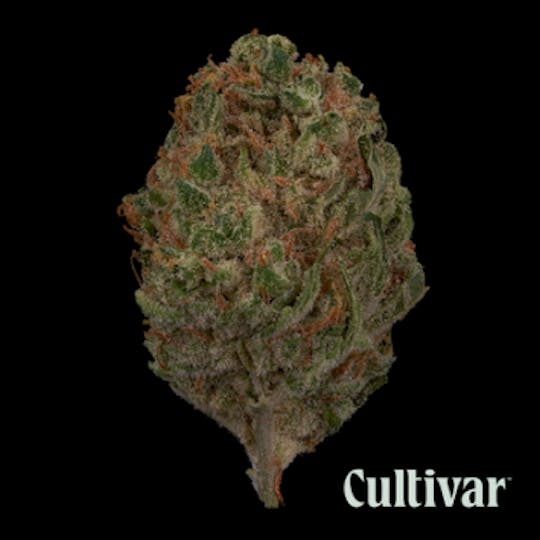 Cultivar Collection - Cherry Pie - 3.5g Premium Flower - 1