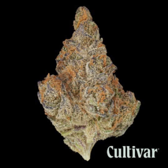 Cultivar Collection - Tropicanna Cookies - 3.5g Premium Flower - 1