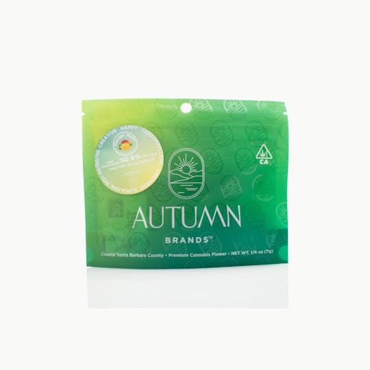 Autumn Brands - Mango Haze - 7g Pouch - 1