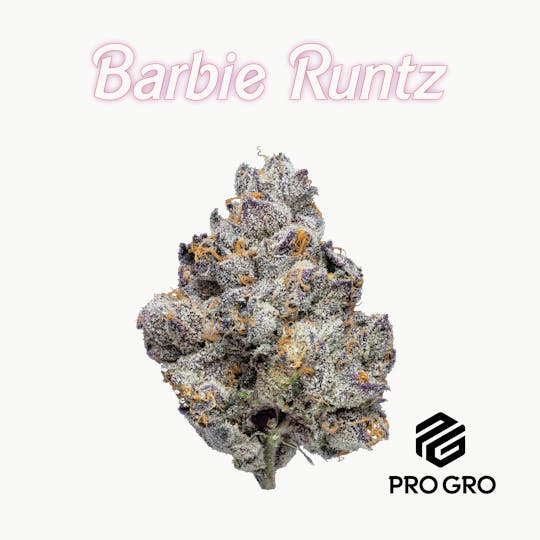 Pro Gro - Barbie Runtz Pre-Roll | 1g - 1