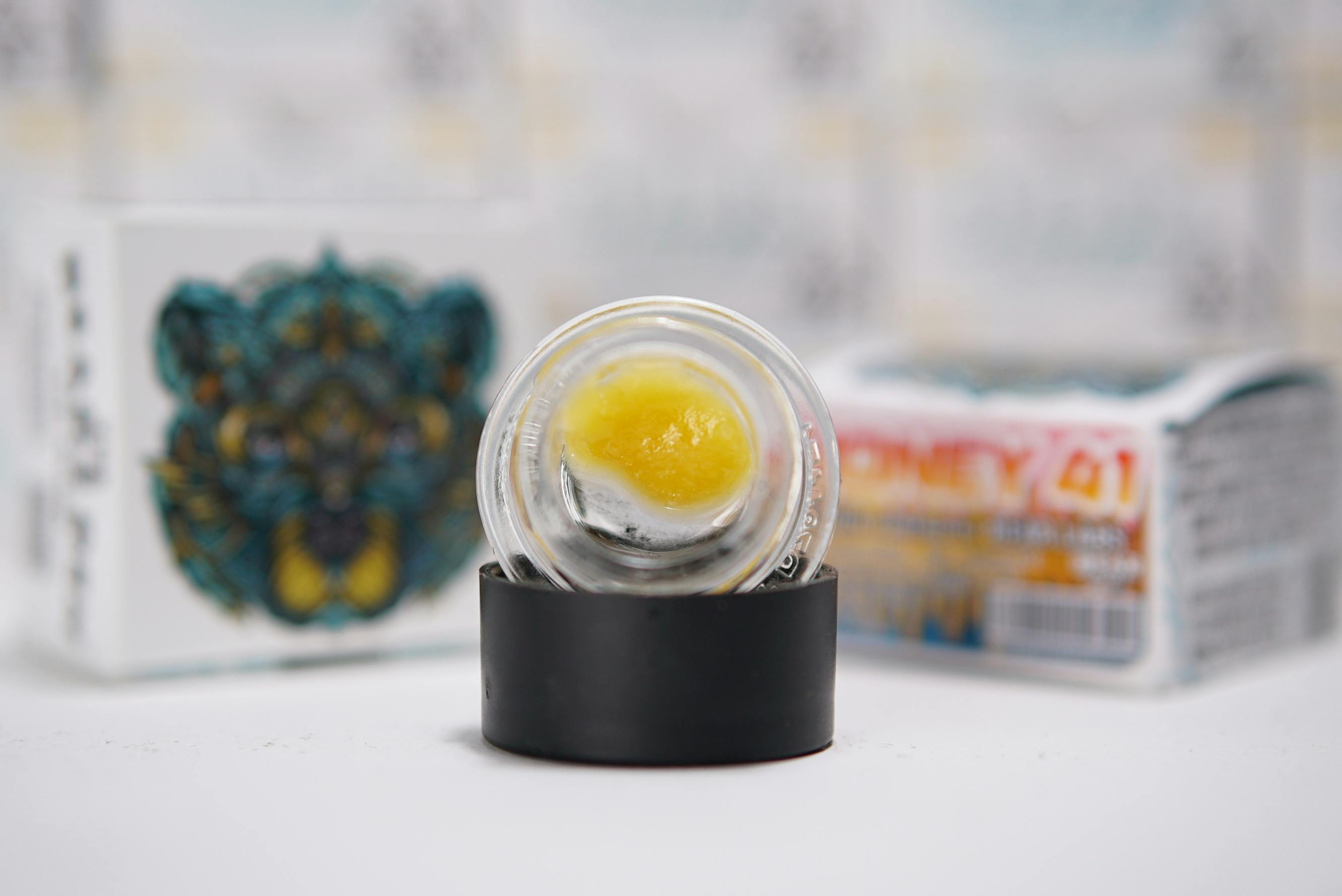 Bear Labs - BEAR Labs - Honey 41 - Tier 2 Live Resin Budder - 1