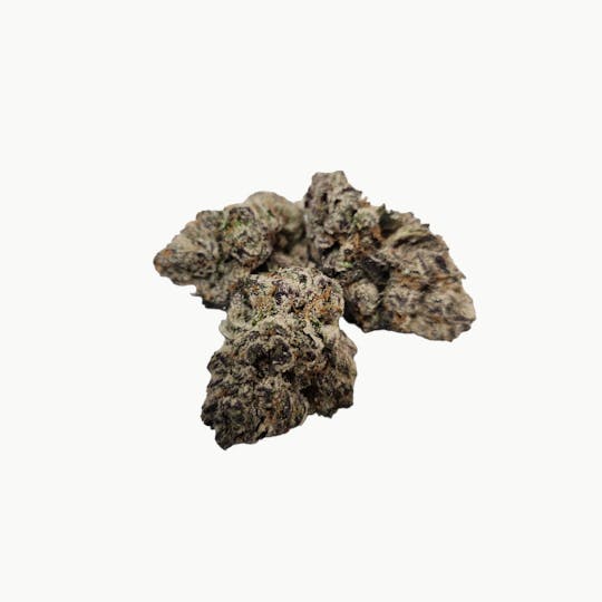 ZaZa Factory - Frosted Apricot - 1