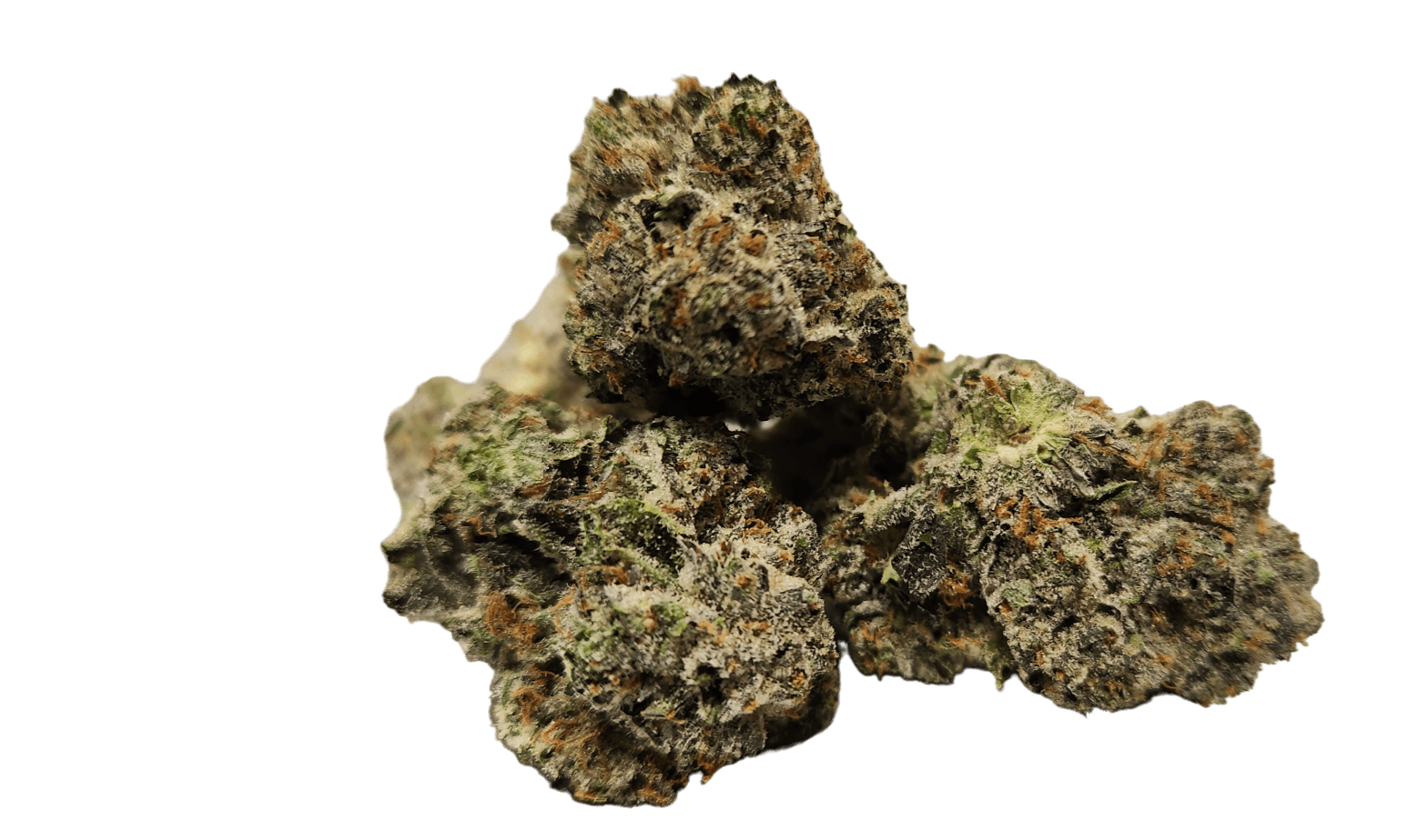 ZaZa Factory - Grease Runtz - 1