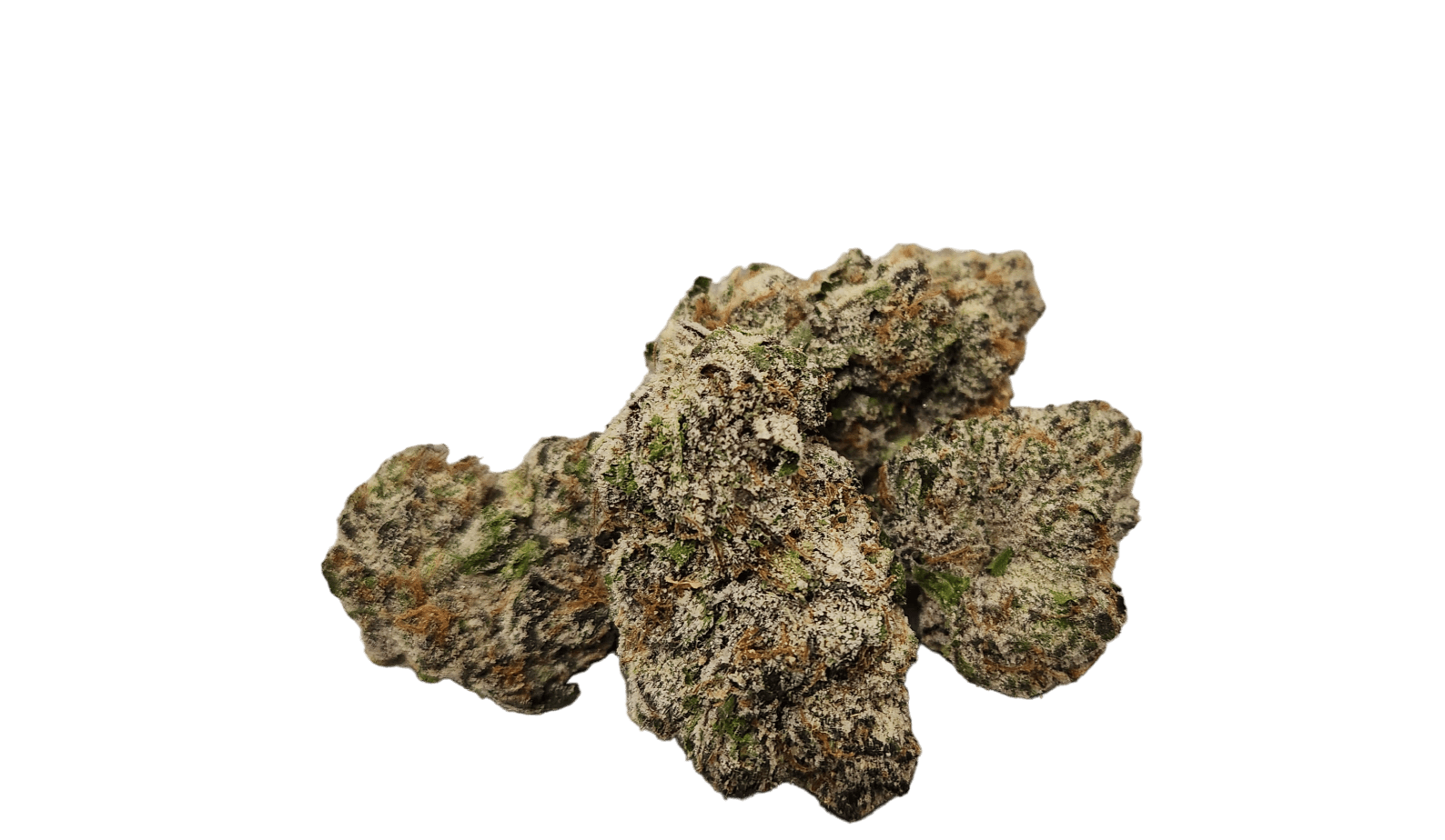 ZaZa Factory - White Zlushie - 1