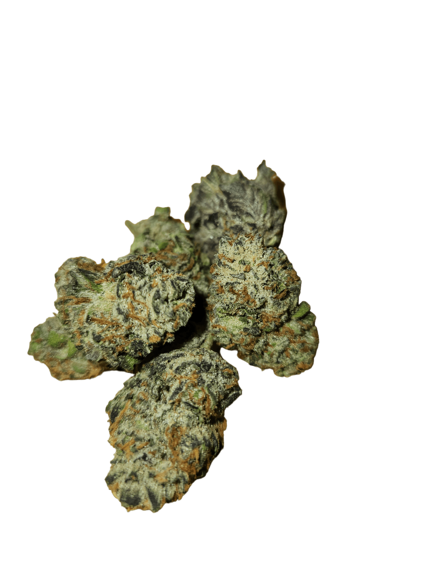 ZaZa Factory - Caddy Rainbow - 1