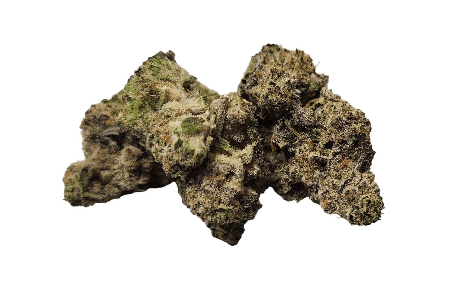 ZaZa Factory - Caramel Apple - 1