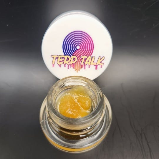 Terp Talk - DosiDo - 1