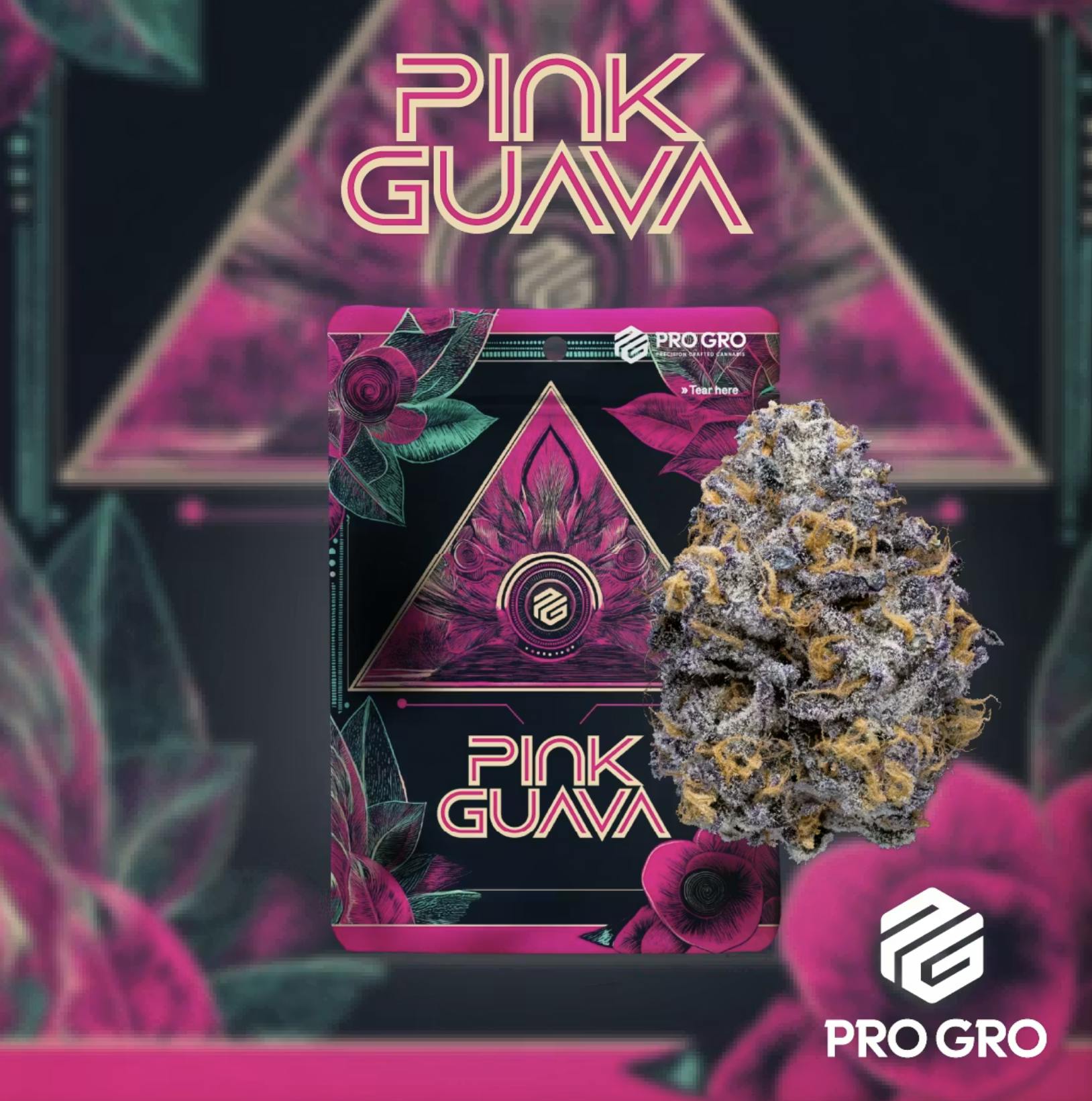 Pro Gro - Pro Gro | Pink Guava | Big Buds | 3.5g - 1