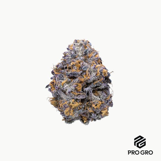 Pro Gro - Pink Guava Pre-Roll | 1g - 1