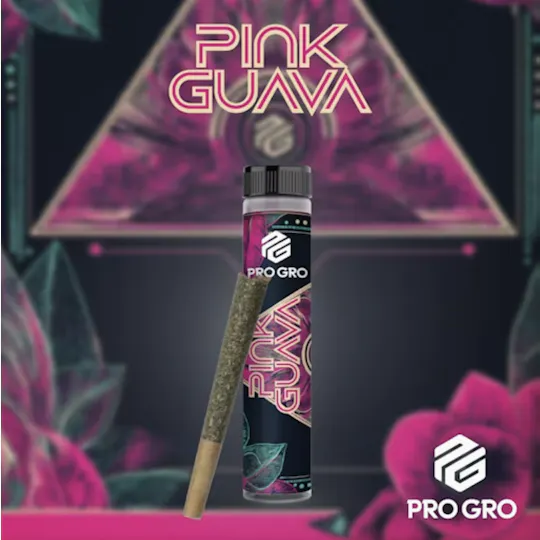 Pro Gro - Pro Gro | Pink Guava | Joint | 1g - 1