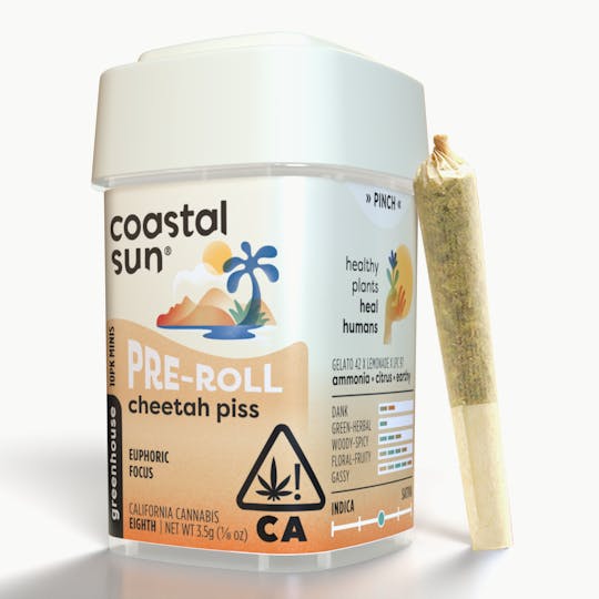 Coastal Sun - Cheetah Piss Greenhouse 0.35g Pre-Roll 10pk 3.5g - 1