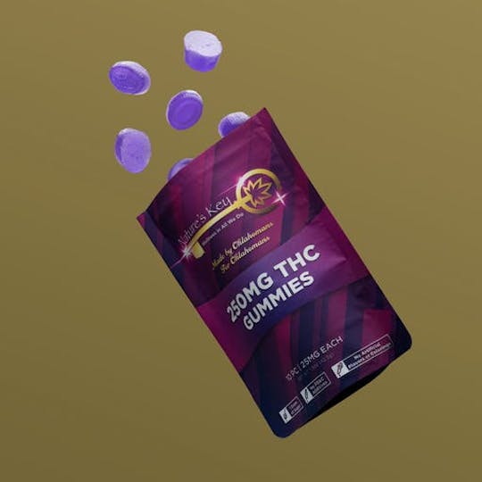 Natures Key - Blueberry Lemonade 250mg - 1
