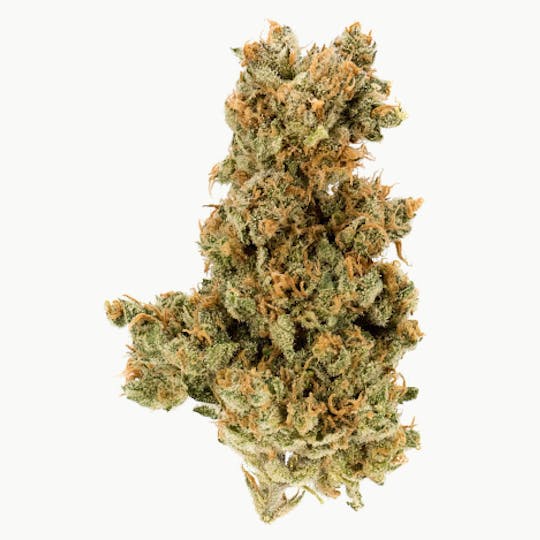 House Party - HOUSE PARTY - FLOWER - 28G - BIGS - INDICA - NORTHERN LIGHTS - 1