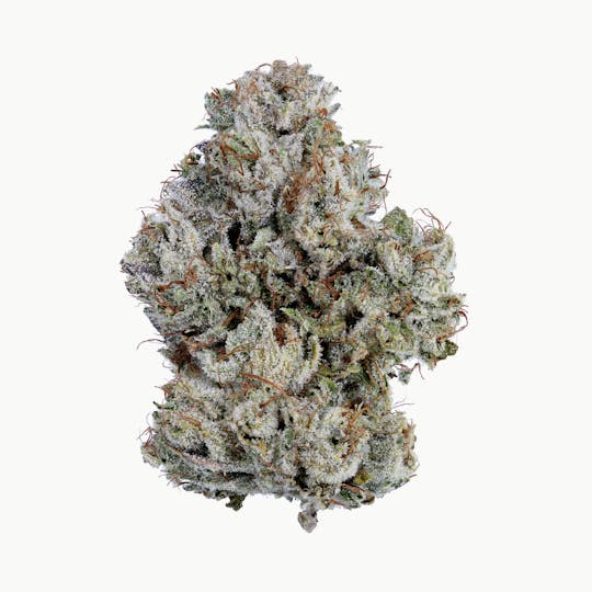 Team Elite Genetics - Diesel Truck OG - 1