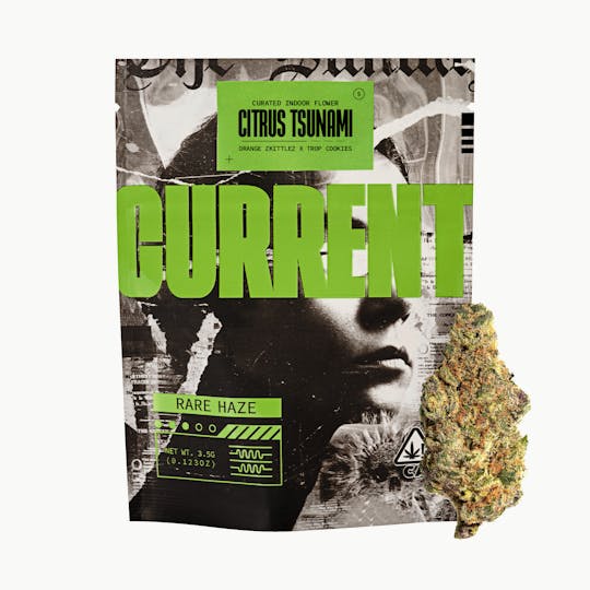 CURRENT - Citrus Tsunami 3.5g Rare Haze Flower - 1