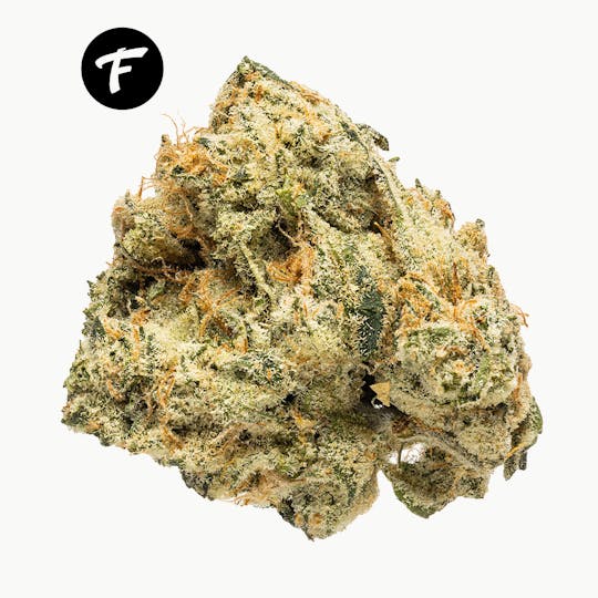 Forte Cannabis - Forté Fire Pack - E-85 (10pk) - 1