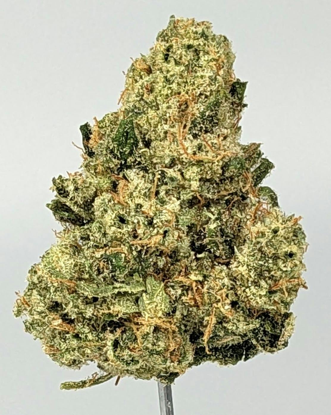 FLWRpot - Thunderstruck - 1