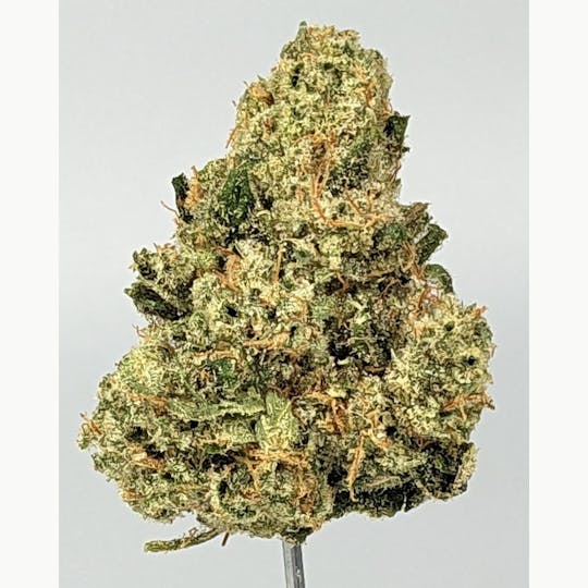 FLWRpot - Thunderstruck - 1