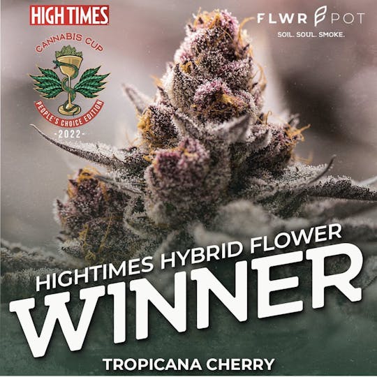 FLWRpot - Tropicana Cherry - 1