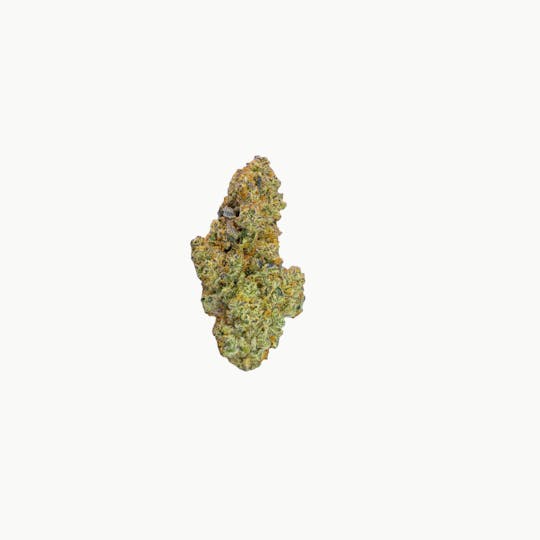 FLWRpot - Dyno Candy - 1