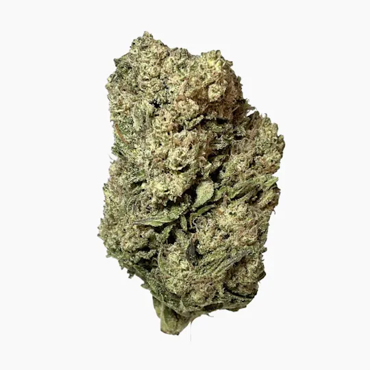 Smoakland - Smoakland Exotix | Top Gun (H) | Big Buds | 14g - 1