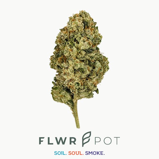FLWRpot - Jungle Boys Wild OG - 1