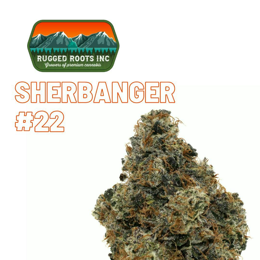 Rugged Roots - Rugged Roots - Sherbanger #22 3.5g Smalls Flower - 1