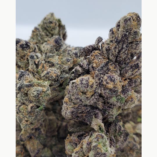World Class Cannabis - White Runtz - 1
