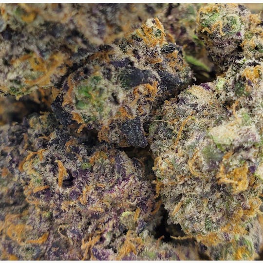 World Class Cannabis - Purple Crack - 1