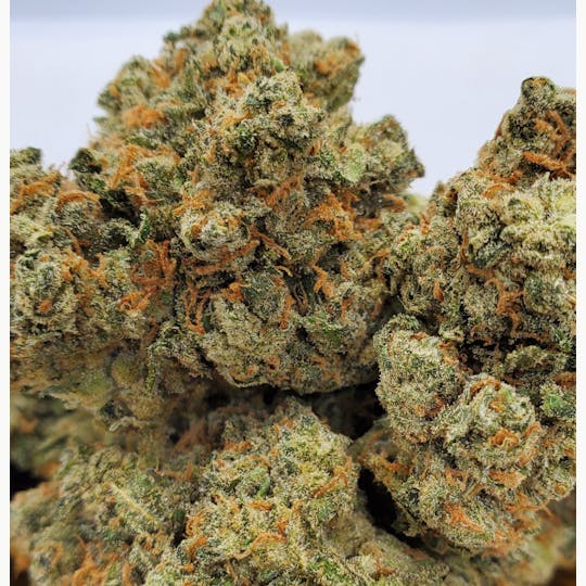 World Class Cannabis - XJ-13 - 1