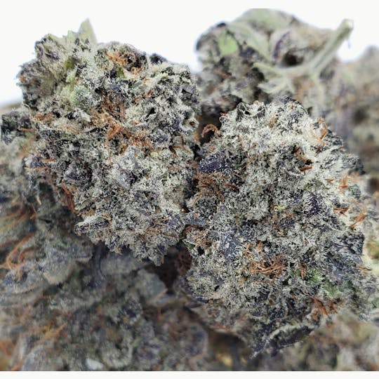 World Class Cannabis - Purple Super Jack - 1