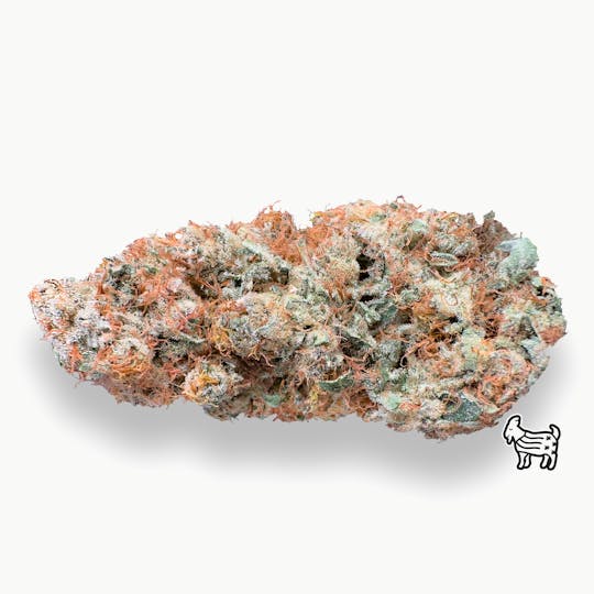 The Laughing Goat - APPLE ABDUCTION | BIG BUDS - 1