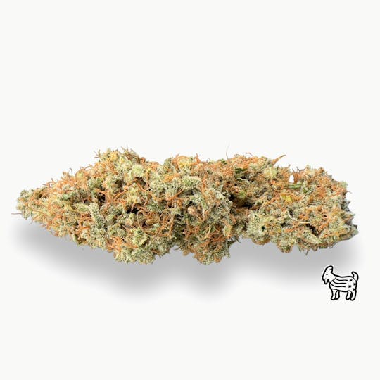 The Laughing Goat - DURBAN POISON | BIG BUDS - 1