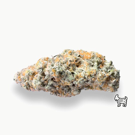 The Laughing Goat - GELATO TRIX | BIG BUDS - 1