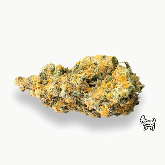 The Laughing Goat - GMOSKI | BIG BUDS - 1