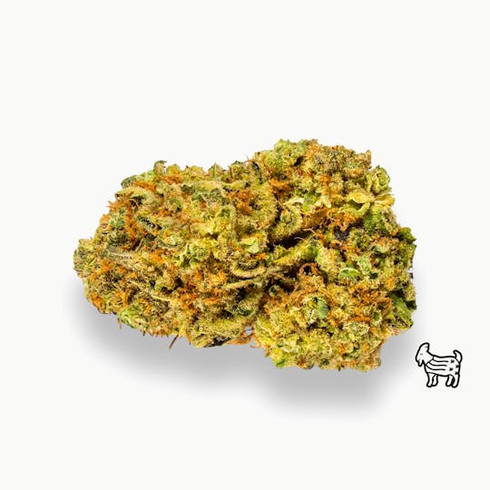 The Laughing Goat - NYSD / NEW YORK SOUR DIESEL | BIG BUDS - 1